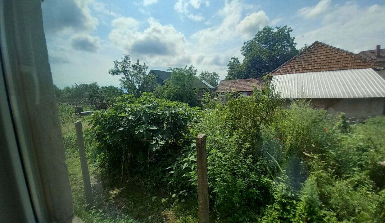 20250804_145457