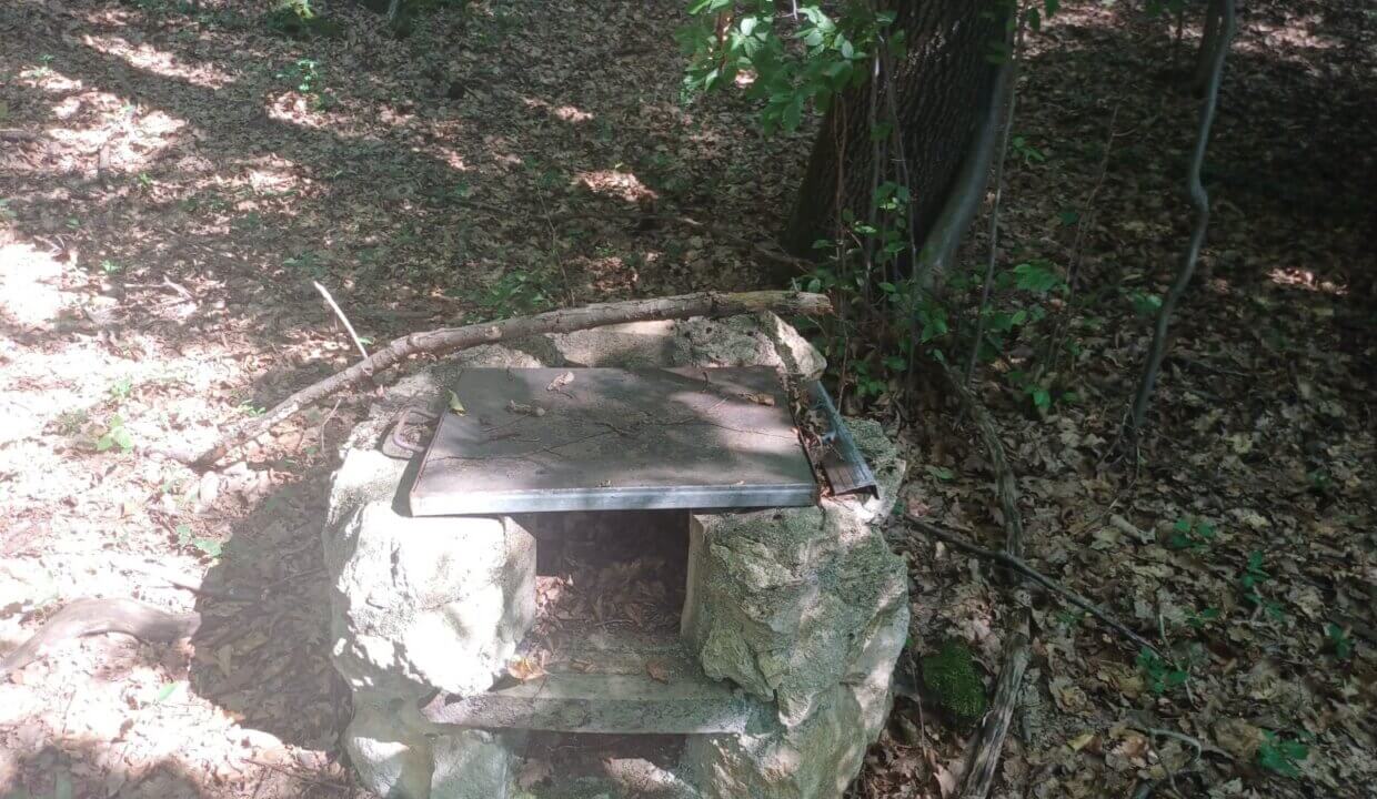 FOTO (11)