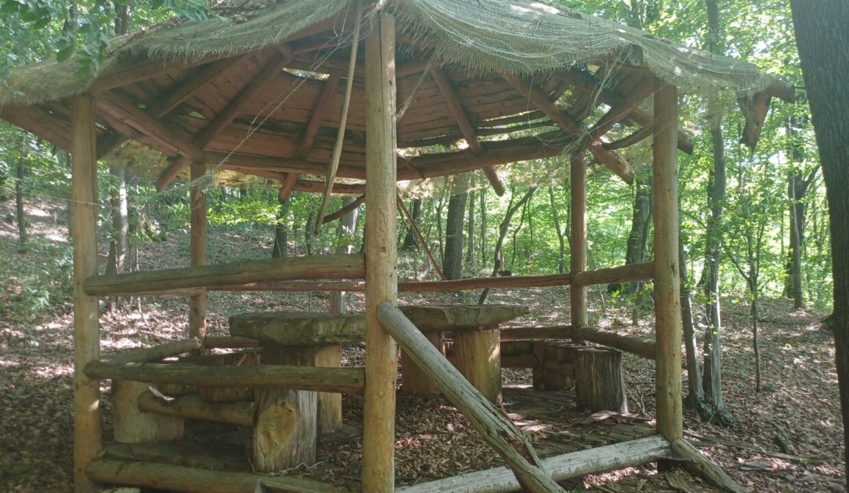 FOTO (13)