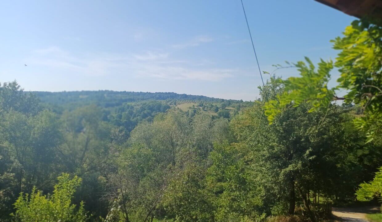 FOTO (4)