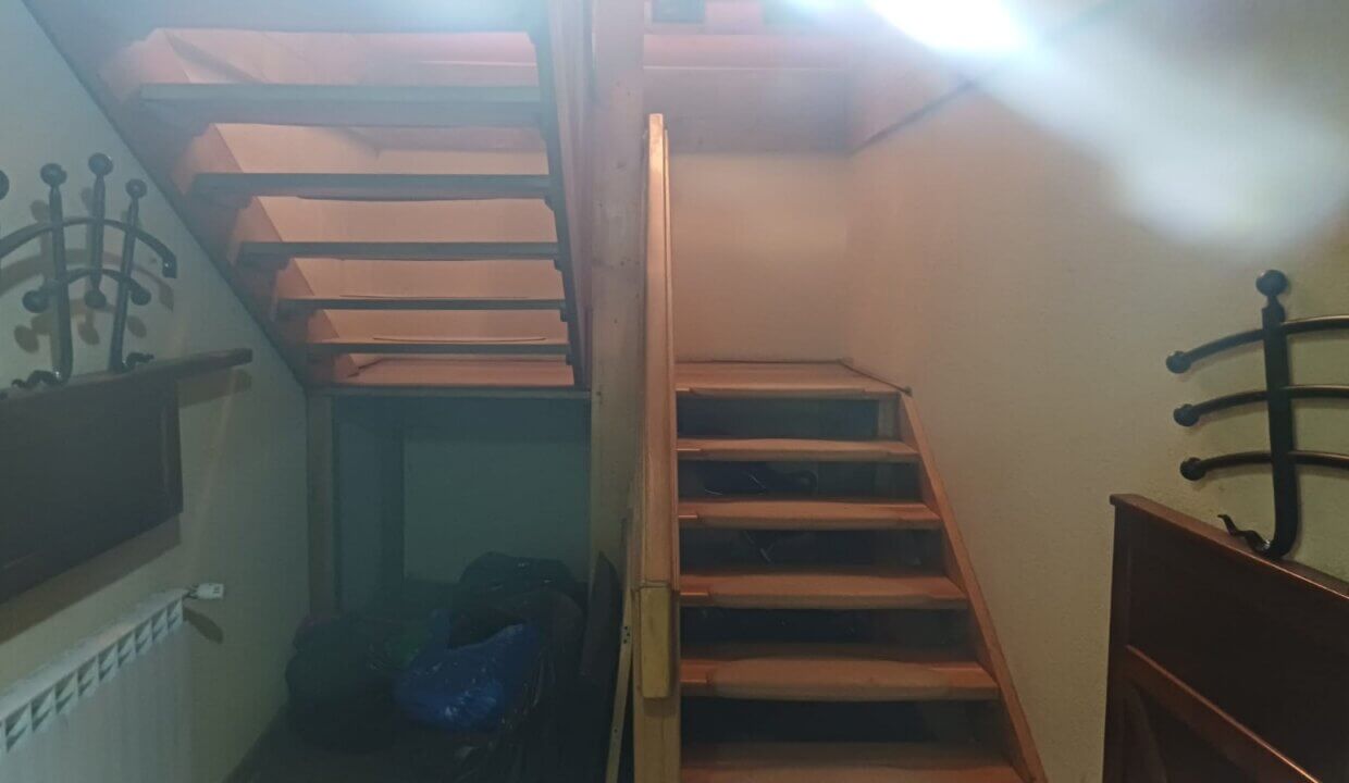 FOTO (56)