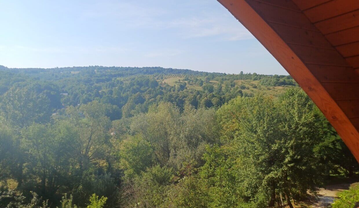 FOTO (77)