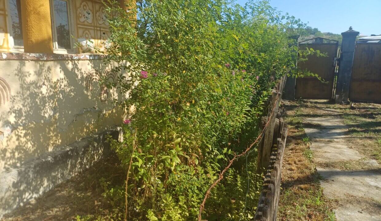 Foto 11