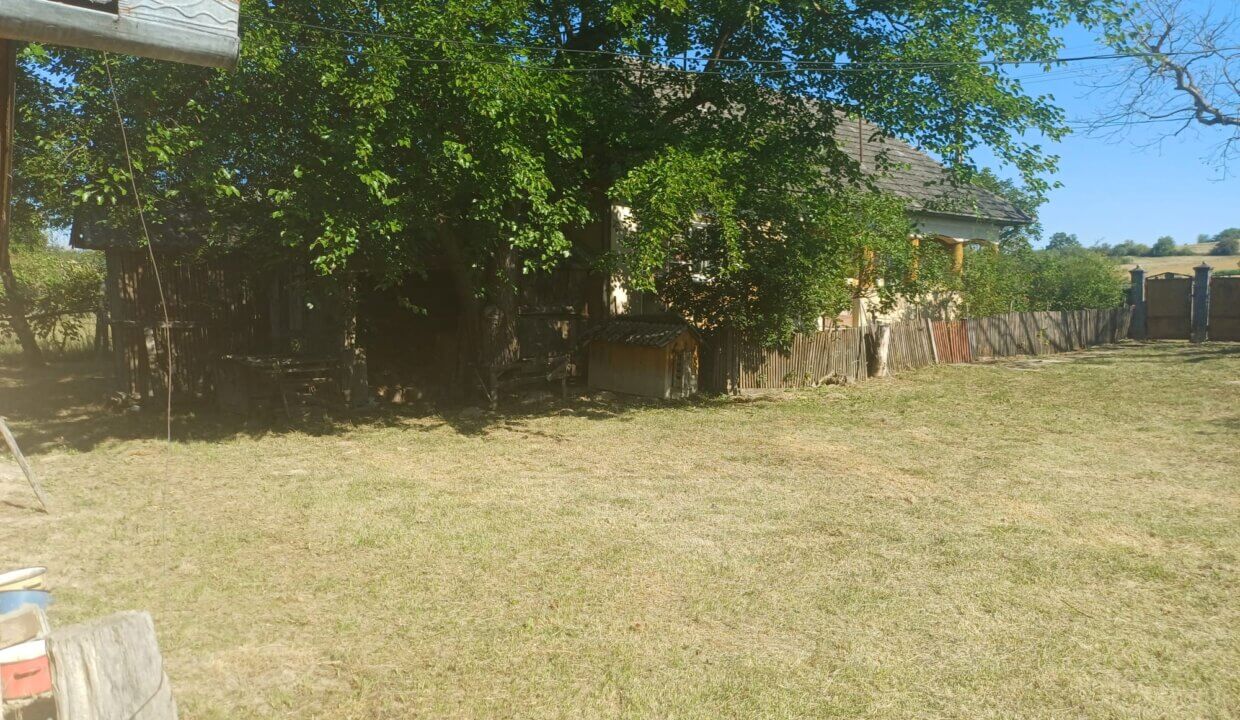 Foto 15