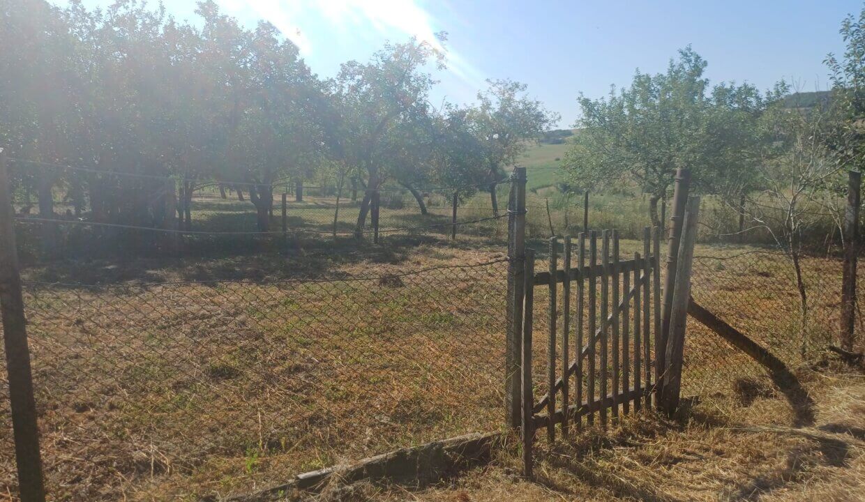 Foto 17
