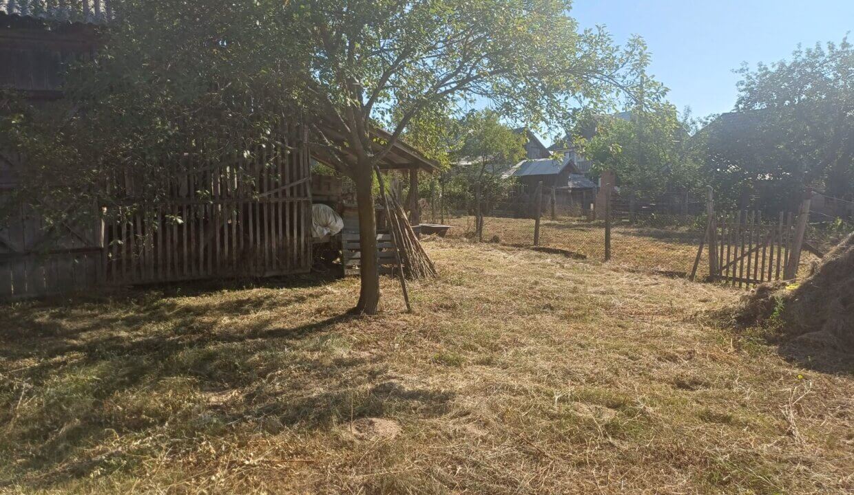 Foto 19