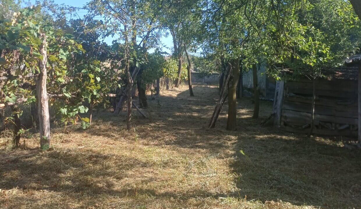 Foto 20