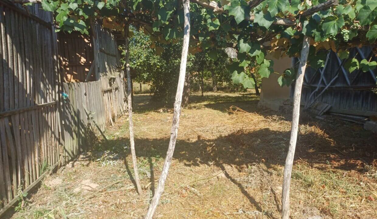 Foto 21